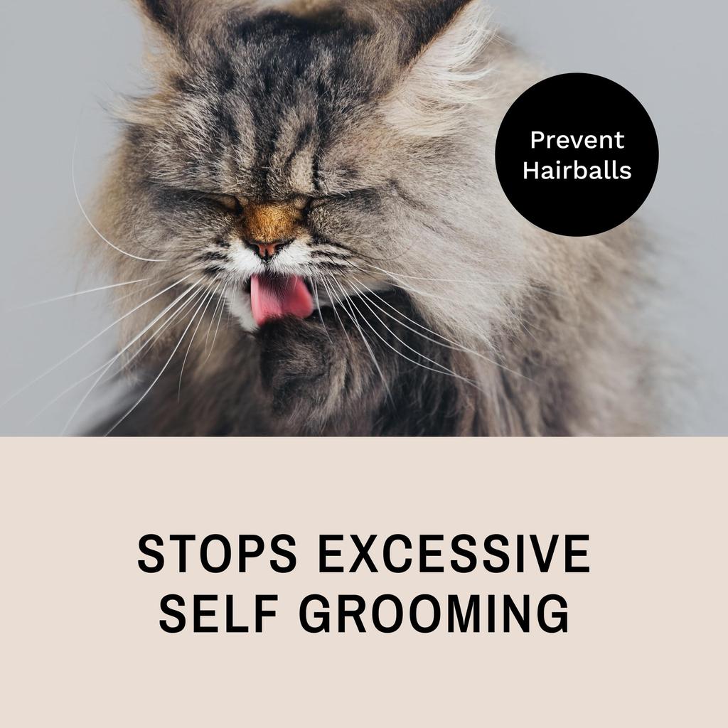 Eye Envy ProGlide Cat Comb for Long Haired Cats Comb Removes Undercoat and Excess Hair Removes Tangles and Knots Prevents Mat Fur Dual Tooth Comb