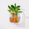 Transparent Wall-Mounted Plant & Fish Tank for Office/Living Room Décor