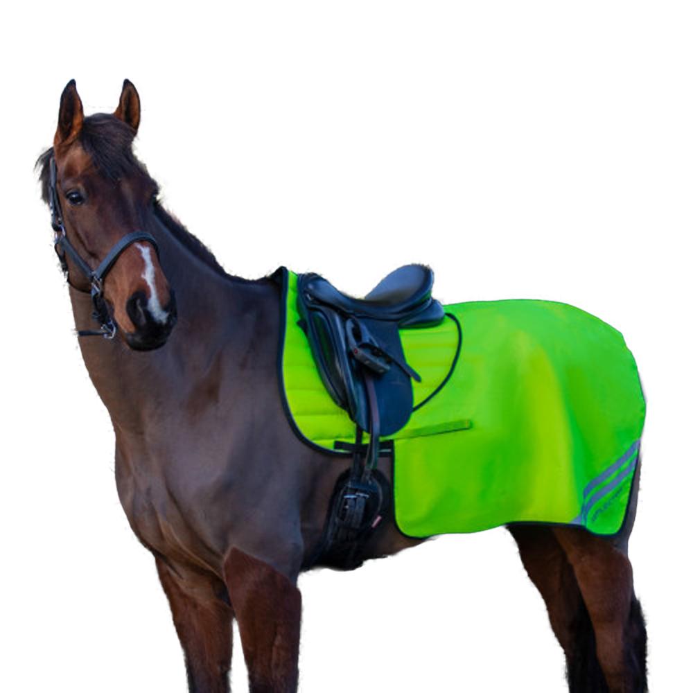 HyVIZ Reflector Mesh Horse Quarter Exercise Sheet