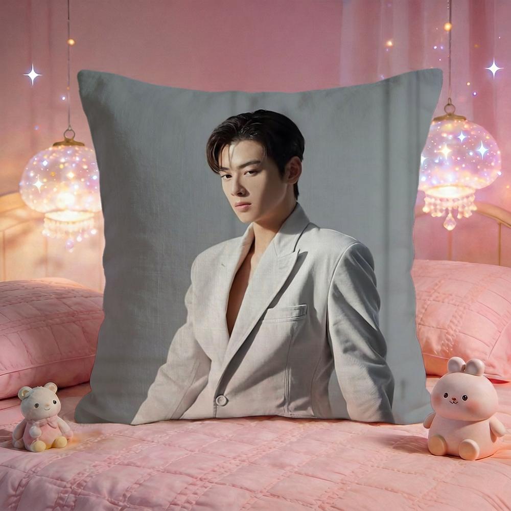 

CCha EEun Woo Cushion Cover Premium Comfort Reversible Pillow Cove Two In One Design For Any Room Car Interior 30x30cm 12x12in