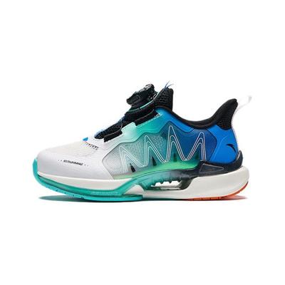 Kids Wind Chaser 6.0 Test Measurement Shock Absorption Wear Resistant Low Top Running Shoes Kids Running Shoes White Blue Green 312429901-1
