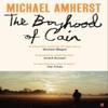 The Boyhood of Cain by Michael Amherst Paperback Book 9780571387618