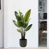 Realistic Green Plant Wall Sticker for Living Room Bedroom Wall Decoration Self-Adhesive
