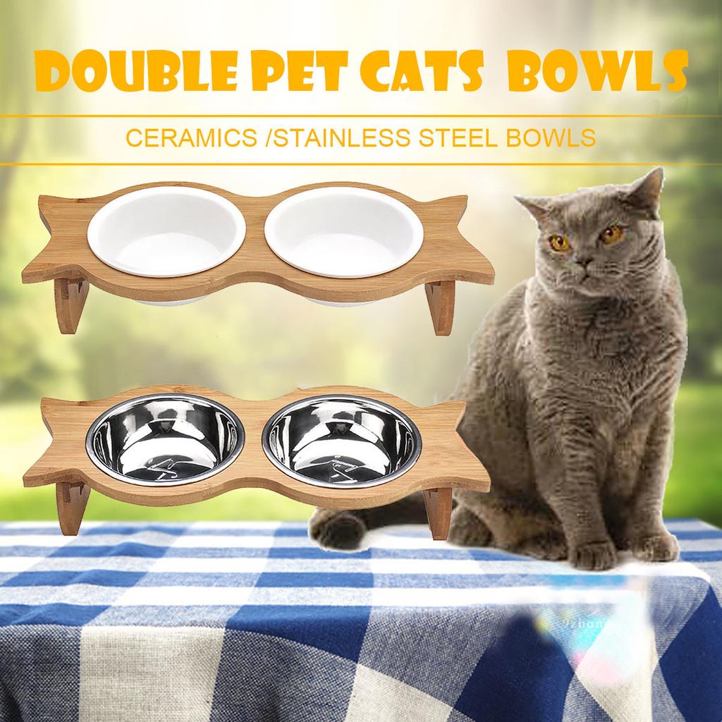 cats in bowls