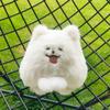 Cute Puppy Stuffed Dog Keychain Soft Pillow Dog Plush Toy Samoyed Plush Doll  Car Key Accessories