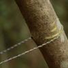 2pcs High-Quality Stainless Steel Wire Saw Lightweight Construction Stainless Steel Saw  Hiking