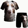 Husky Dogs T-Shirts Shorts Sets Animal 3D Print Men's Tracksuits Fashion Oversized Short Sleeve T Shirt Pants Set Suits Clothing