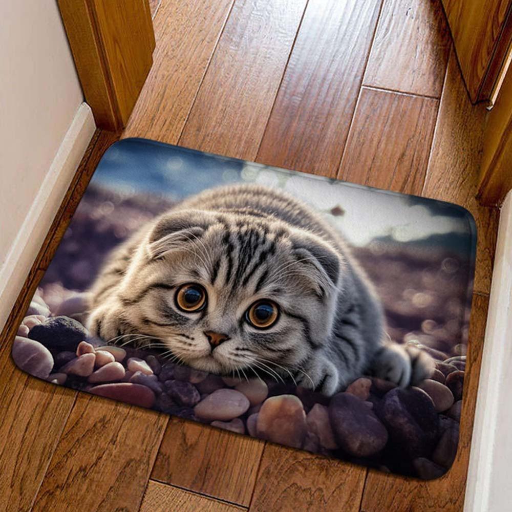 Cat Pattern Optical Illusion Doormat Non-slip Bedroom Door Rug Bathroom Carpet  Home Decor
