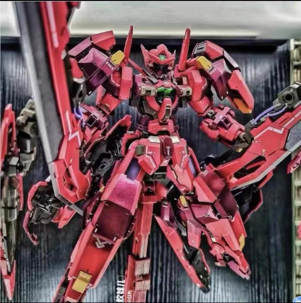 HG Strike Freedom Unicorn Red Astray Gundam Model Building Kit