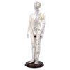 52cm Acupuncture Model 360 Degree Rotatable Arms Acupoint Body Model for Student Teaching Demonstration White Men