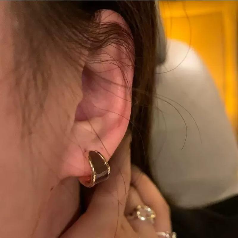 Maillard Amber Retro Hong Kong Style Earrings Women's Light Luxury High-end Niche Earrings Earrings