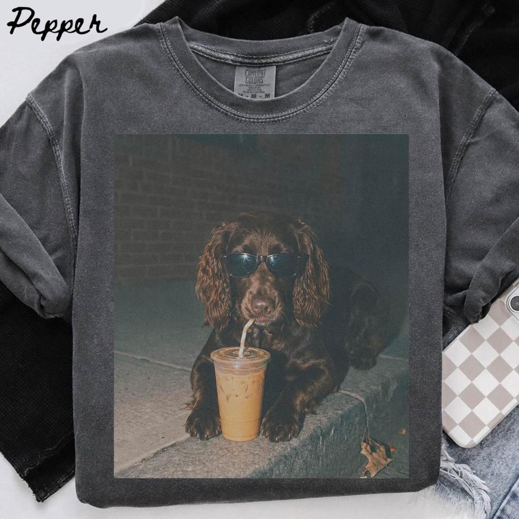 Boykin Spaniel Dog Comfort Colors Shirt, Iced Coffee Dog Mom T-shirt, Funny Mothers Day Gifts, Dog Mama Tee, Pet Tshirt, Trendy
