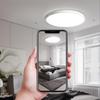 Dream Bubble Modern Round LED Ceiling Light