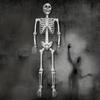 90cm Skeleton Model Decoration Fake Sculpture for Home Garden Haunted House Decorative Horror Theme Carton-Packed