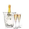 SAN plastic ice bucket, wine and champagne bucket - Hendi 593158