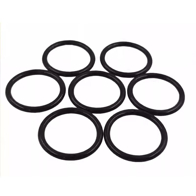 Industrial Iron O-Ring