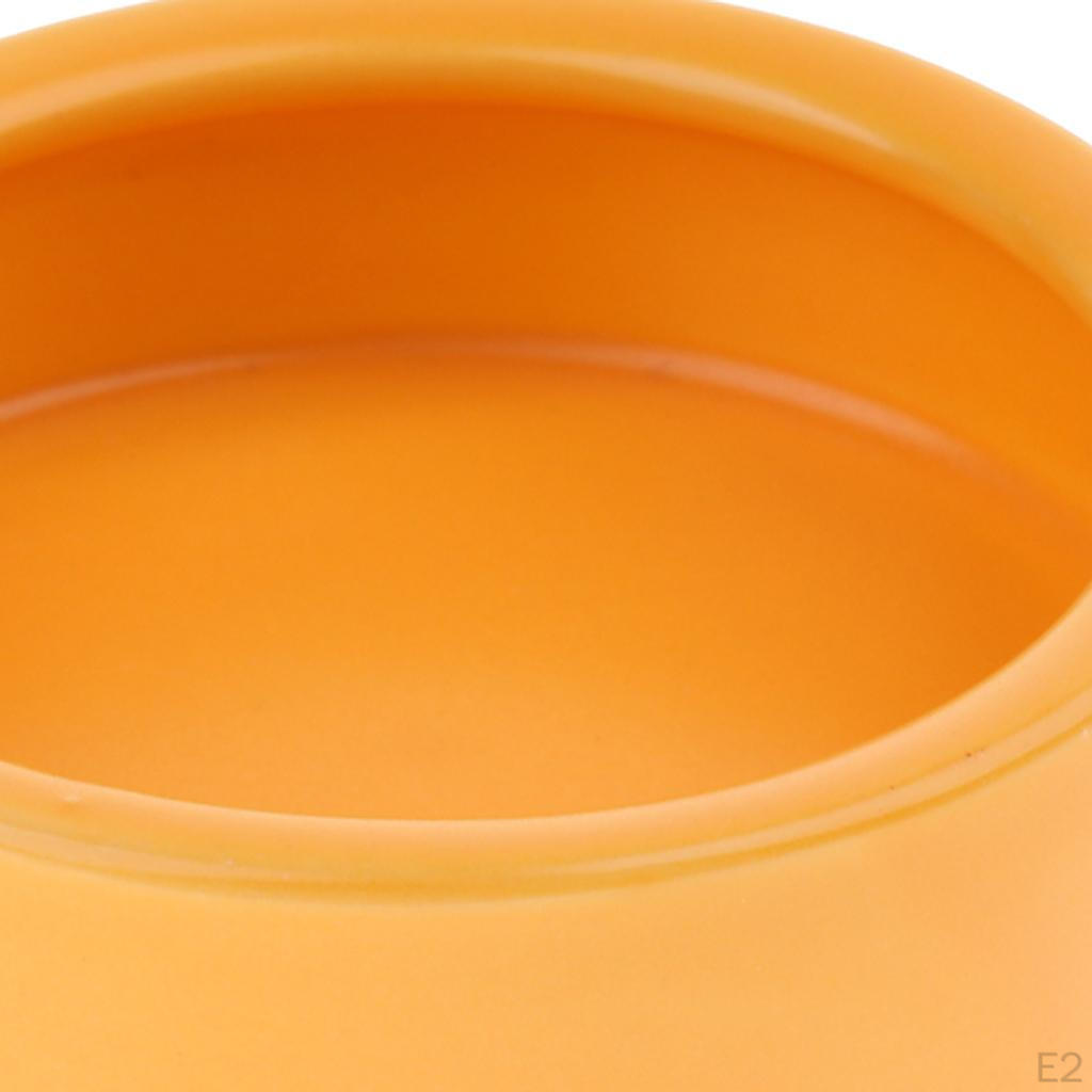Reptilmatskål Vattenskål Matningsbehållare i Plast för Sköldpadda Spindel Gecko, Vit/Orange