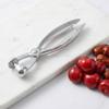 with Lock Fruit Pit Remover Aluminum Alloy Fruit Corer Olive Core Remover  Food Preparation