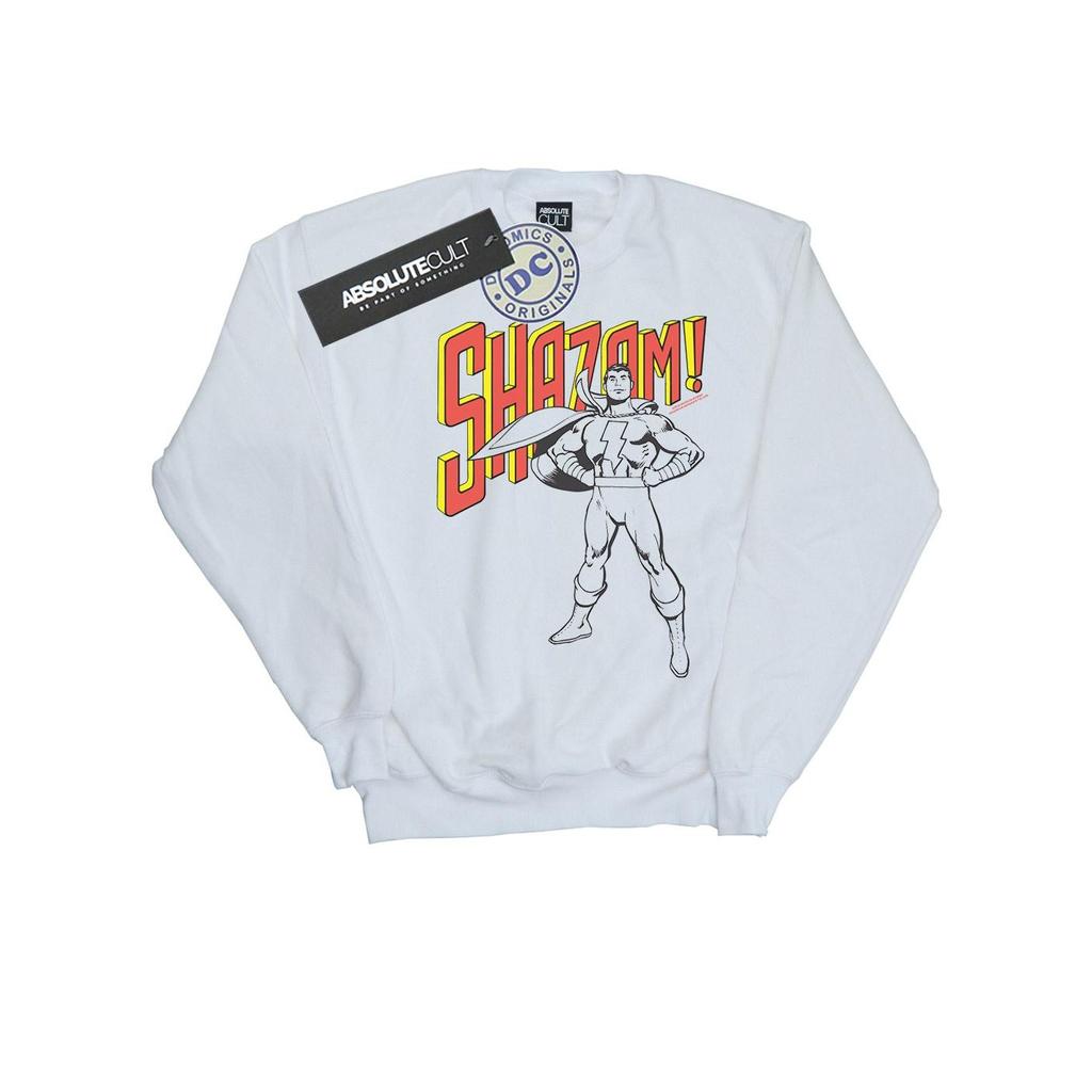DC Comics Mens Shazam Mono Action Pose Sweatshirt