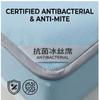 Washable Antibacterial Ice Silk Cooling Mat Set, Fitted/Flat Sheet, 2 Sizes for Summer Bedroom & Dorm Hygienic Bedding