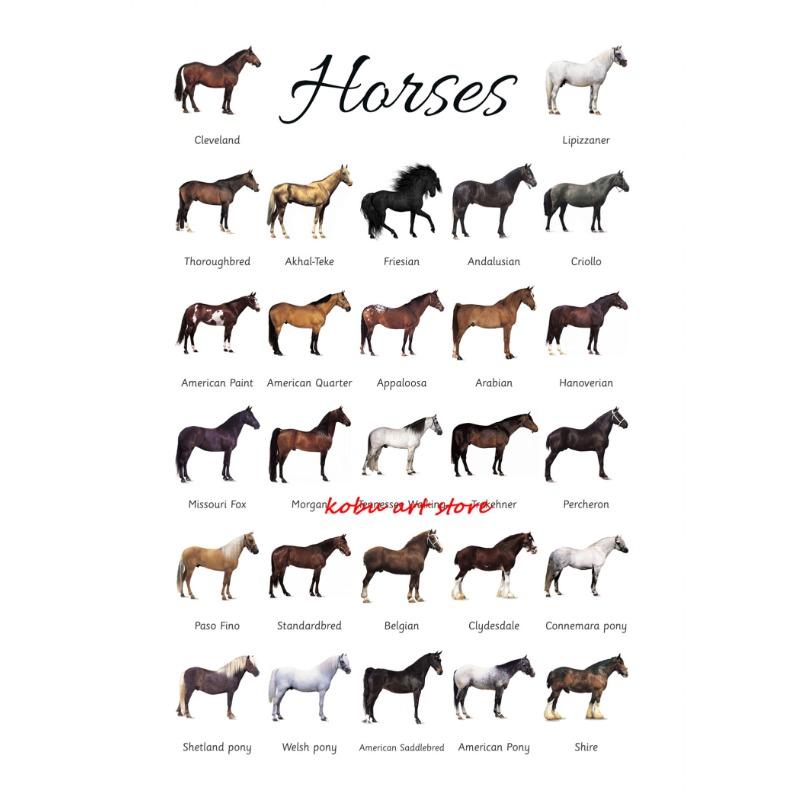 Farm Animals Ocean Animals Horse Educational Learning Poster Print Canvas Painting Wall Art Picture for Kids Nursery Room Decor