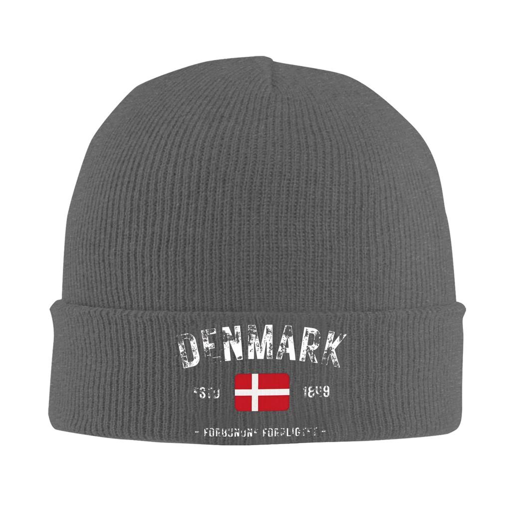 Denmark Estd 1849 Knitting Hat Beanie Hats Outdoor Sport Thermal Elastic Adult Unisex Bonnet Hats Winter Funny Caps Gift Idea