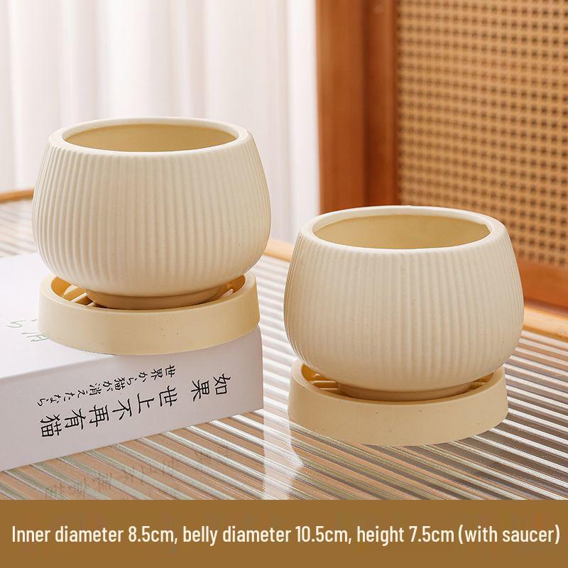 Ceramic Flower Pot with Tray for Orchids and Succulents