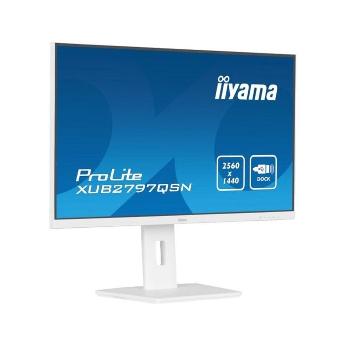 IIYAMA Nom : Iiyama G-MASTER X