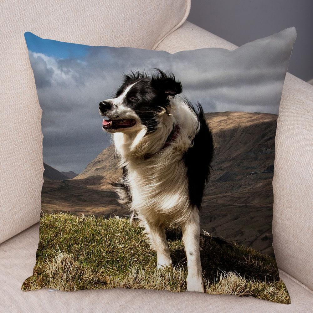 Niedlicher Schäferhund-Muster-Kissenbezug, Hundedruck, dekorativer Kissenbezug, Sofa-Auto-Büro-Kissenbezug