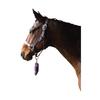 Hy Tartan Head Collar with Lead Rope