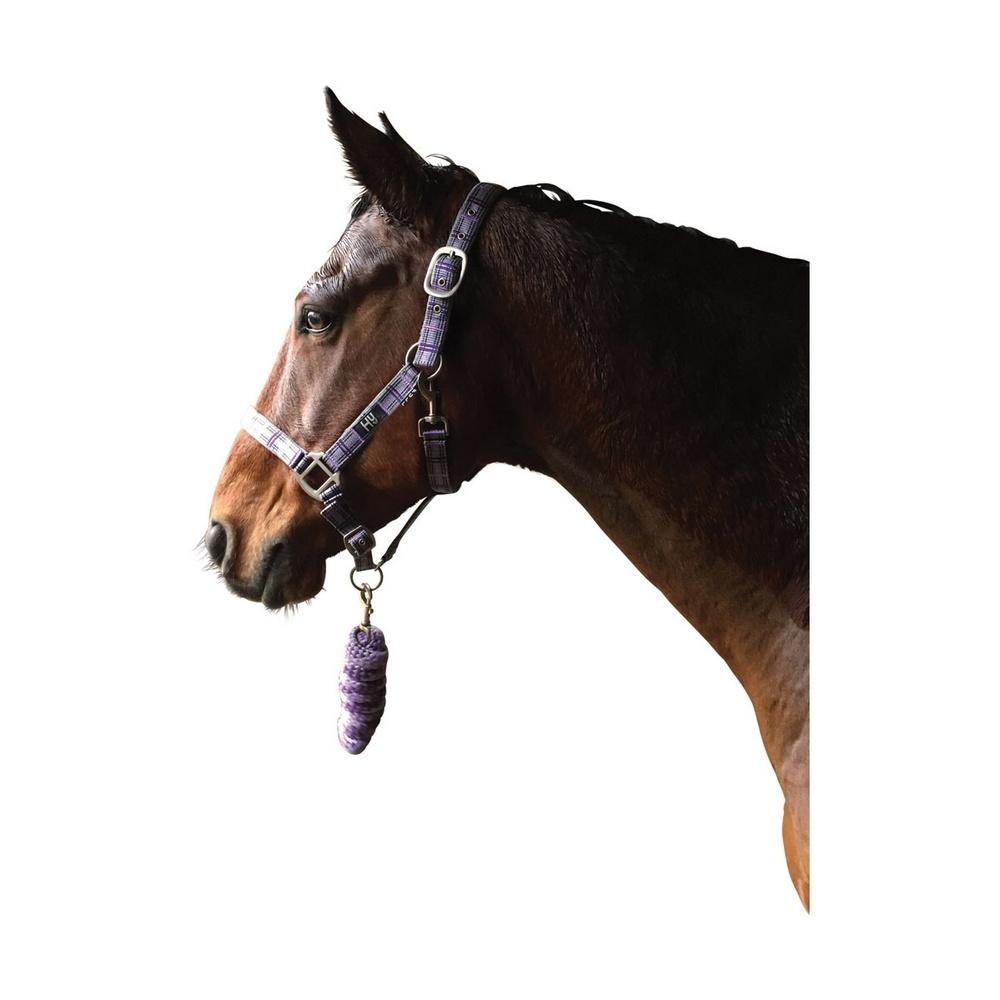 Hy Tartan Head Collar with Lead Rope
