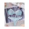 Mesh Splicing Blue Thin Shoulder Strap Design Semi-perspective Sexy Thin Lace Erotic Underwear Set