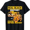 Black History Didn't Start With Slavery Proud African Gifts T-Shirt