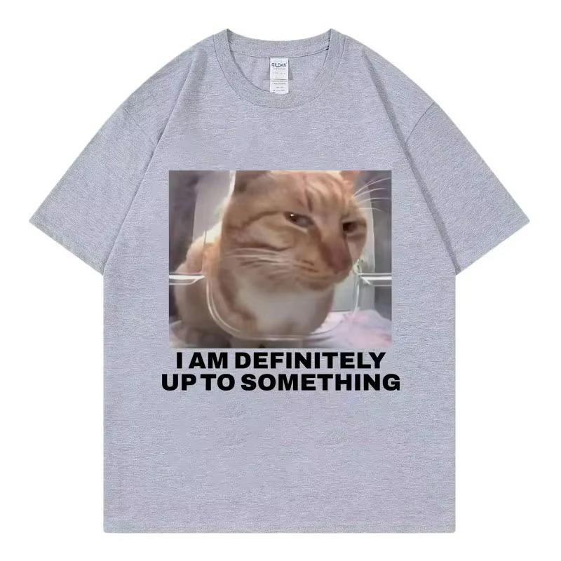 

I Am Definitely Up To Something Funny Cat Meme T-shirt High Street Fashion Trend Women Casual Harajuku Short Sleeve Casual Tops 4XL