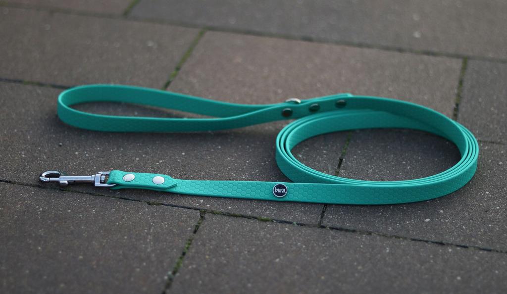 Hexa City Dog Leash, Width , M, /Phthalo