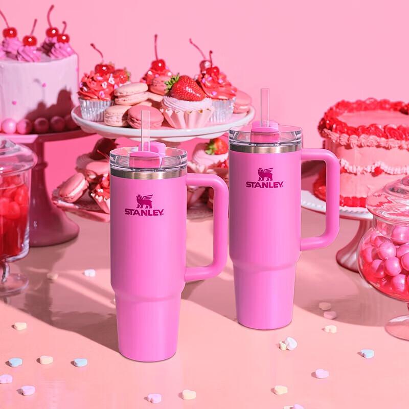 Stanley Vacuum Insulated Stainless Steel Straw Tumbler