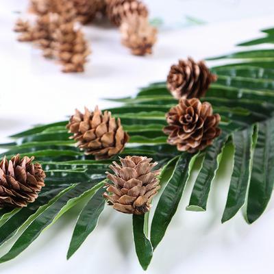 20Pcs Artificial Pine Cone Attractive for Garden Convenient Decorative DIY Simulation Pinecone Novel Vivid Natural