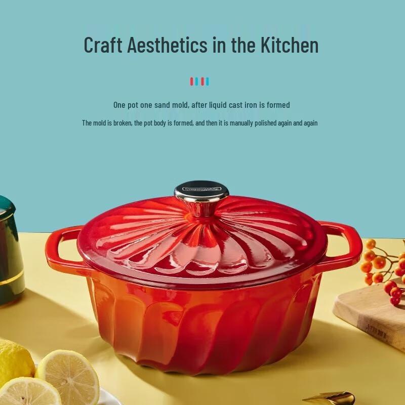 Corning VISIONS 22cm Multi-Function Enamel Cast Iron Pot