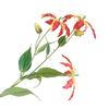 Artifical Lily Flowers with 3 Heads Full Blooms And 2 Buds Long Stem Fake Lily Bouquet for Indoor Home Table Office Wedding Decoration