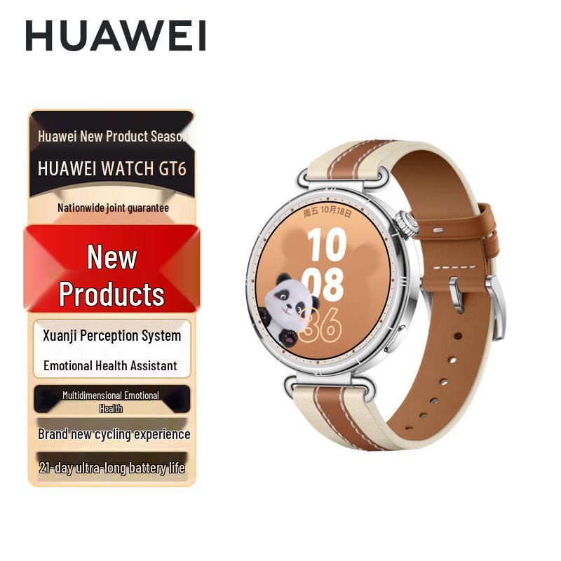 HUAWEI WATCH GT 6 Smartwatch 41mm (CN version)
