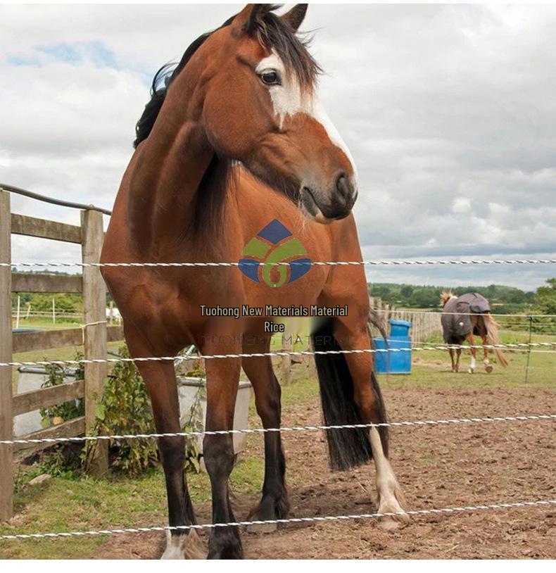 Energizing Rope for Electric Fences - Conductive Wire for Cattle, Horse, Sheep, Thickened Special Line
