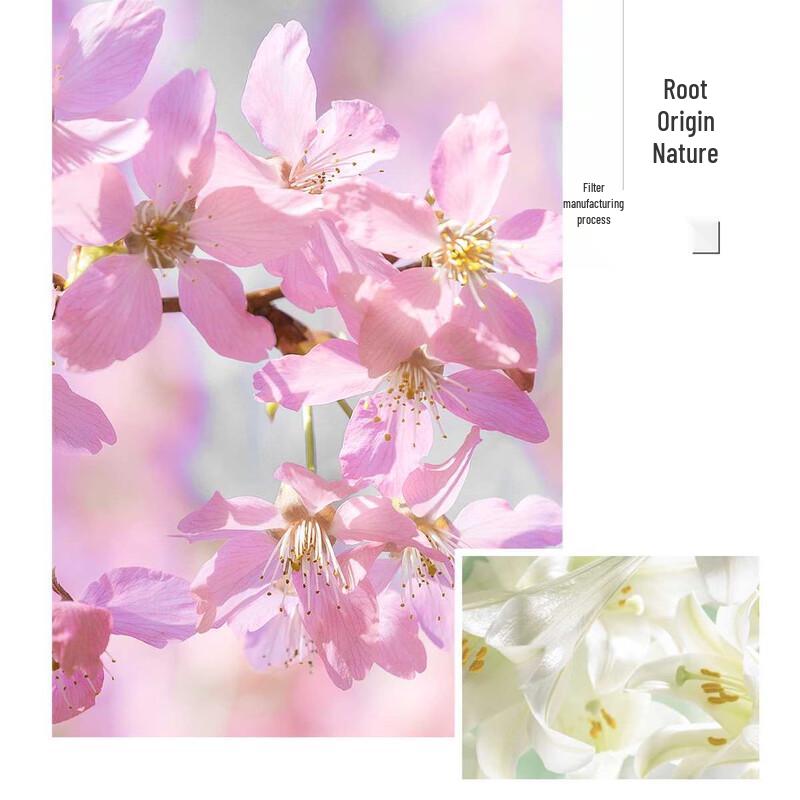 Qianxiang Petal Body Wash