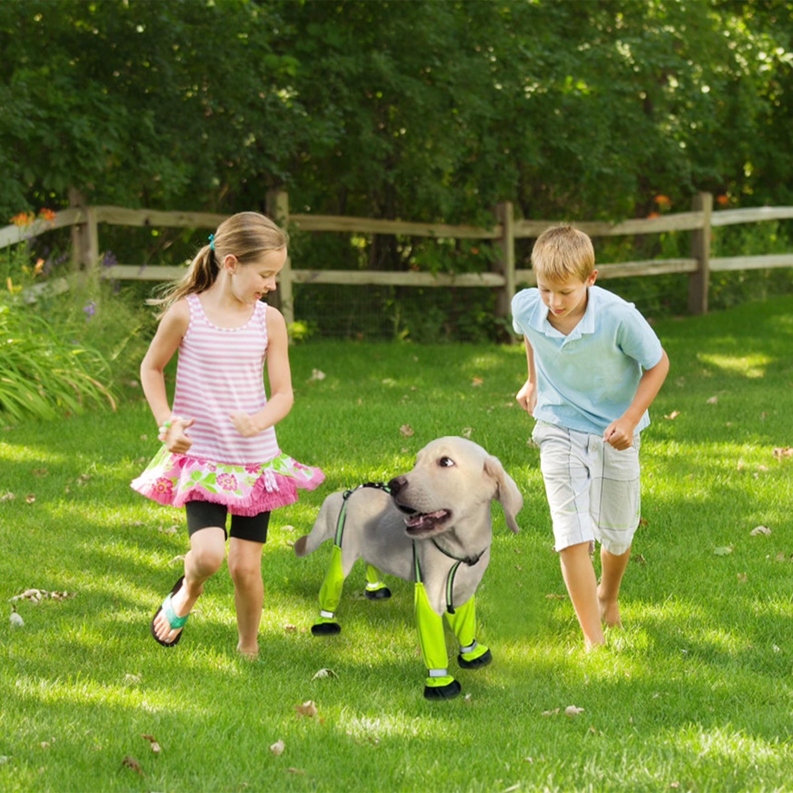 

Водонепроницаемая обувь для собак, защитные ботинки для собак с подтяжками, светоотражающие ботинки для собак, регулируемая одежда для маленьких собак и девочек XS зелёный