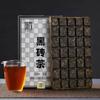 Puer