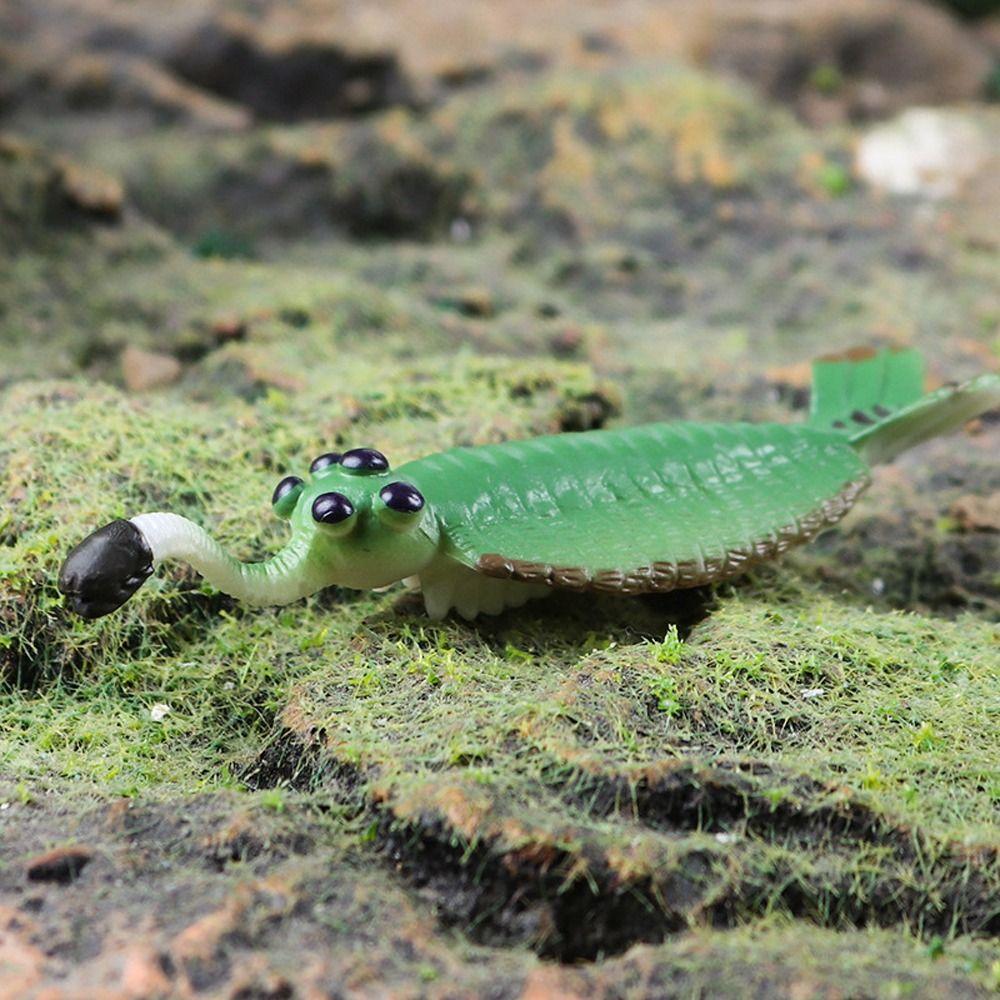 Simulation Ozeantier Figur Nautilus Trilobit Figur Meeresleben Figuren Kinderspielzeug