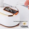Portable Ceramic Soleplate Handheld Garment Steamer and Travel Iron