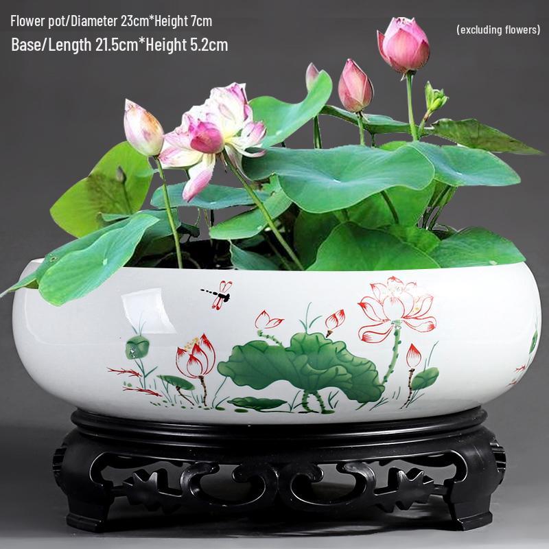 Большой керамический горшок для гидропонных цветов без дренажа  Лотос / Кувшинка  Other - Ceramic