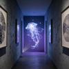 Led Usb Projector Light 3/6Pcs Projection Patterns- Adjustable Whale Butterfly Jellyfish Starfish Night Light Festival Gift
