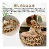 200cm Snake Plush Toy, Large Stuffed Snake Pillow, Cute Animal, Soft Touch