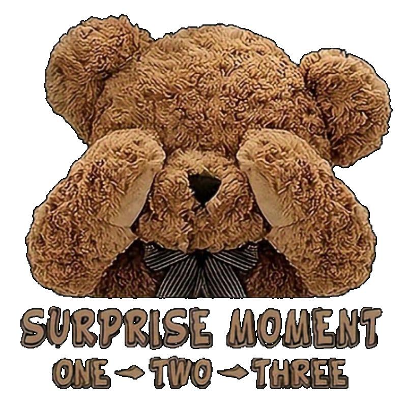 Women Casual T Shirt Black Teddy Bear Cover Eyes Surprise Moment One Two Three Print Top For Daily Wear Party Outing